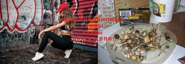 mix Богородск